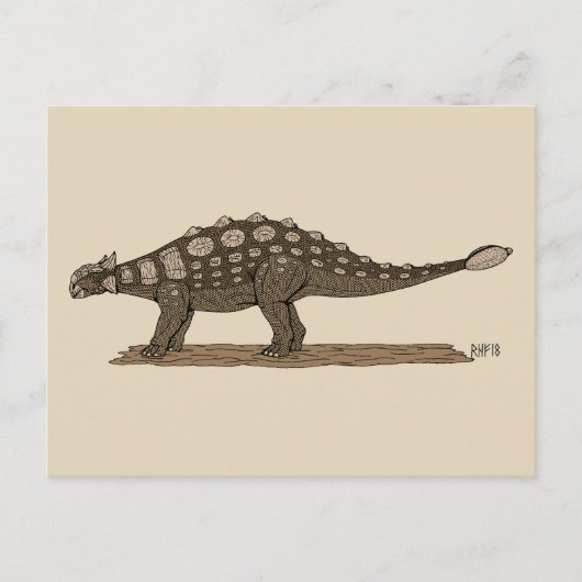 Carte Postale Dinosaure crétacé Ankylosaurus (Devant)