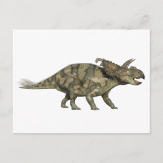 Carte Postale Dinosaure d'Albertaceratops dans le profil latéral