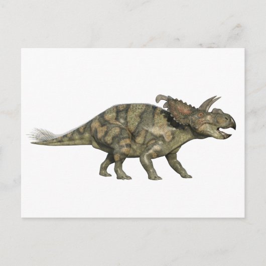 Carte Postale Dinosaure d'Albertaceratops dans le profil latéral (Devant)