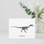Carte Postale dinosaure de coélophyse (Debout devant)