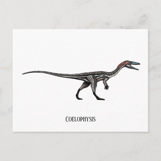 Carte Postale dinosaure de coélophyse (Devant)