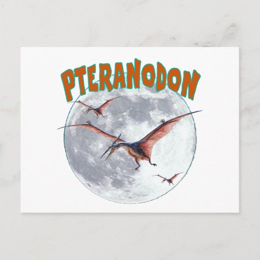 Carte Postale Dinosaure de Pteranodon (Devant)