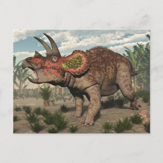 Carte Postale Dinosaure de Tricératops - rendu 3D (Devant)
