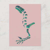 Dinosaure Iguanodon Opale