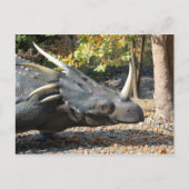 carte postale _ dinosaure _ triceratops (Devant)