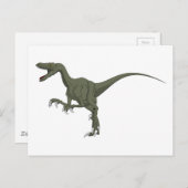 Carte Postale Dinosaure vert Velociraptor (Devant / Derrière)