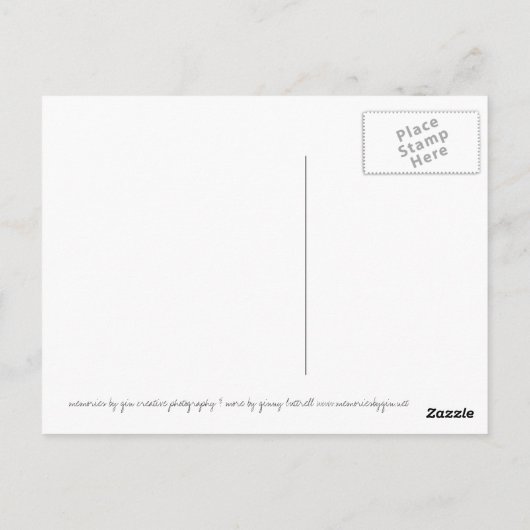 carte postale dinosauts (Dos)