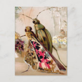 Carte postale d'insectes victoriens (Devant)