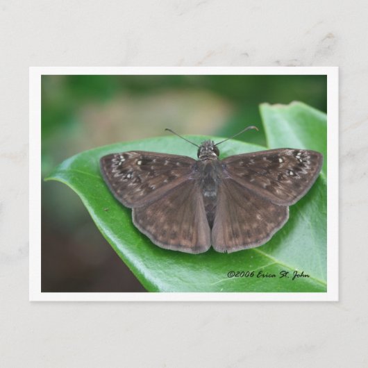 Carte postale d'intentions mensuelles (Devant)