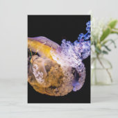Carte postale d'invitation 13 x 18 cm (Debout devant)
