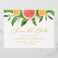 Aquarelle Oranges et pamplemousses Enregistrer la 