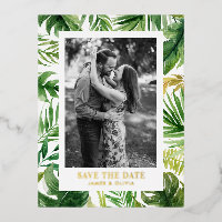 Aquarelle Tropical Feuilles Photo Enregistrer la d