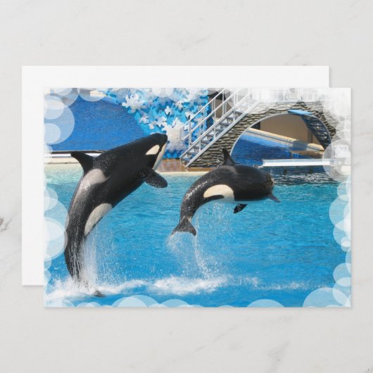 Carte postale d'invitation de baleine (Devant / Derrière)