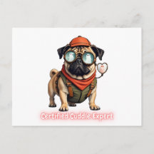 Carte postale d'invitation d'expert en câlins cert
