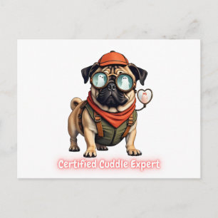 Carte postale d'invitation d'expert en câlins cert