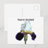 Carte postale d'invitation Iris Violet et Blanc (Devant / Derrière)