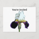 Carte postale d'invitation Iris Violet et Blanc (Devant)