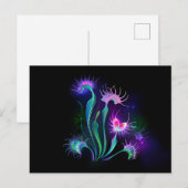 Carte Postale Dionaea piège lumineux (Devant / Derrière)