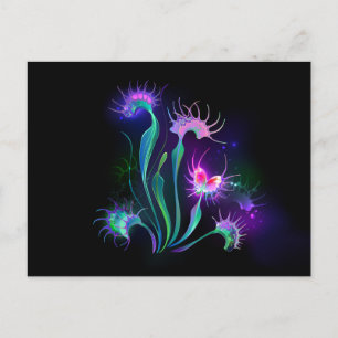 Carte Postale Dionaea piège lumineux