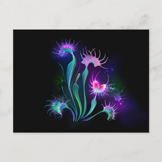 Carte Postale Dionaea piège lumineux (Devant)