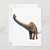 Carte Postale Diplodocus (Devant / Derrière)