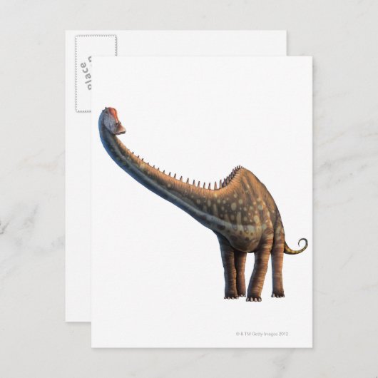 Carte Postale Diplodocus (Devant / Derrière)