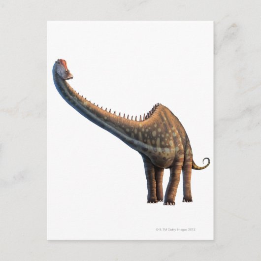 Carte Postale Diplodocus (Devant)