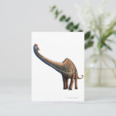 Carte Postale Diplodocus (Debout devant)