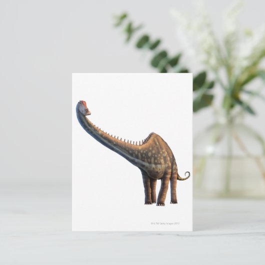 Carte Postale Diplodocus (Debout devant)