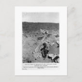 Carte postale Diplodocus dinosaur creuser art (Devant)