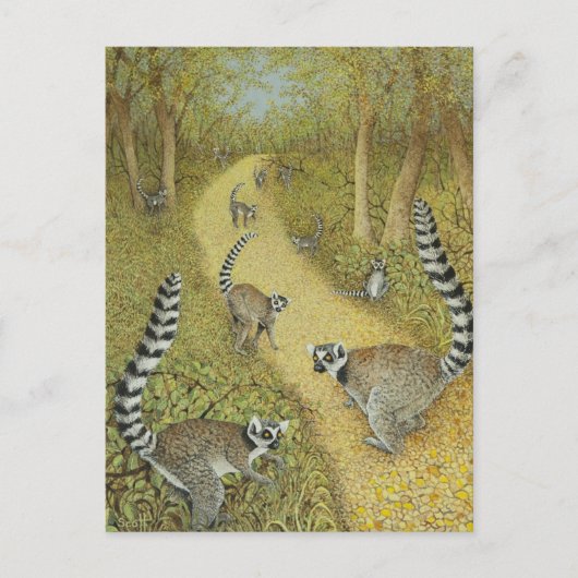 Carte Postale Dire des contes (Devant)