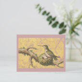 Carte Postale Direction des oeufs de nid de colibris verts (Debout devant)