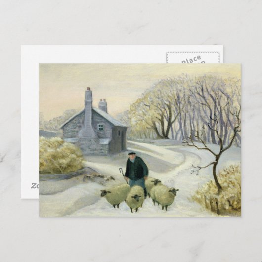 Carte Postale Diriger le mouton (Devant / Derrière)