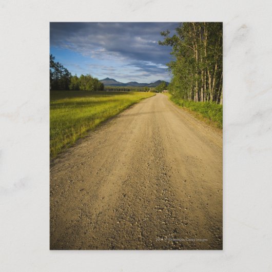 Carte Postale Dirt Road à Eagle, Alaska (Devant)