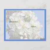 Carte Postale Dis à Jésus ! (Dos)