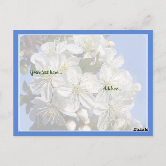 Carte Postale Dis à Jésus ! (Dos)