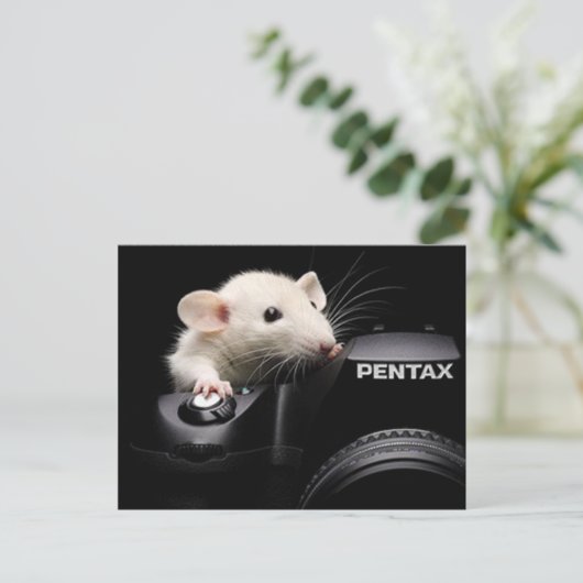 Carte Postale Dis Fromage ! (Debout devant)