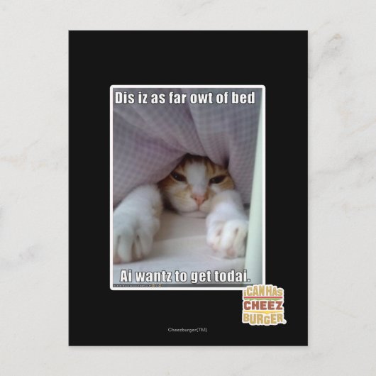 Carte Postale Dis iz aussi loin que le coude du lit.. (Devant)