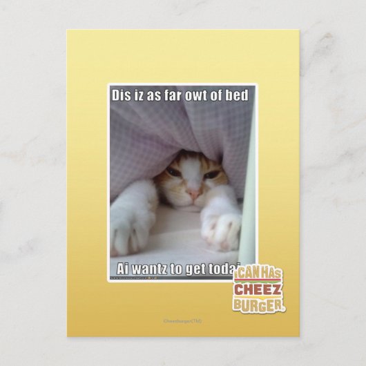 Carte Postale Dis iz aussi loin que le coude du lit.. (Devant)