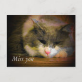 Carte Postale Dis Que Je Te Manque Avec Ce Chat Triste (Devant)
