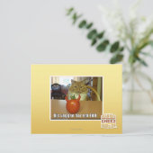 Carte Postale Dis veggee haz l'EBIL (Debout devant)