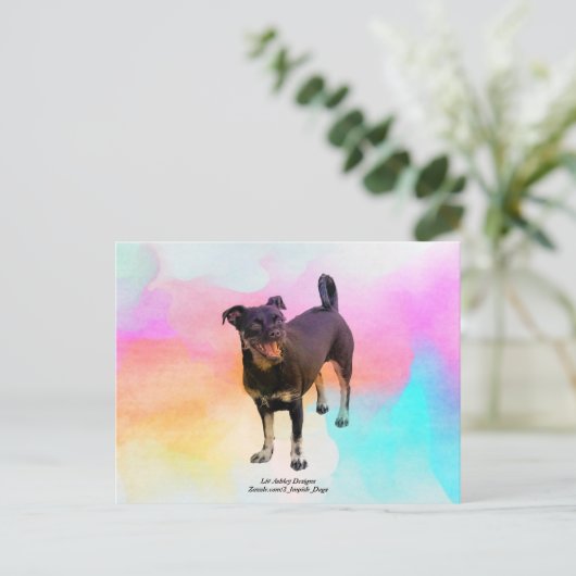 Carte postale disco de Paris (Debout devant)