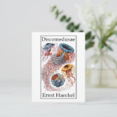 Carte Postale Discomedusae par Ernst Haeckel (Debout devant)
