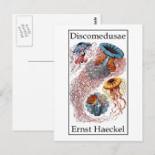 Carte Postale Discomedusae par Ernst Haeckel (Devant / Derrière)