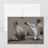 Carte Postale Discours de pingouin | Antarctique, île de Géorgie (Devant / Derrière)
