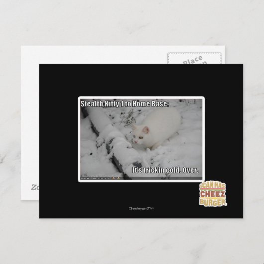 Carte Postale Discrétion Kitty 1 (Devant / Derrière)