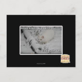 Carte Postale Discrétion Kitty 1 (Devant)