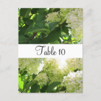 Disposition de table aux hortensias blancs