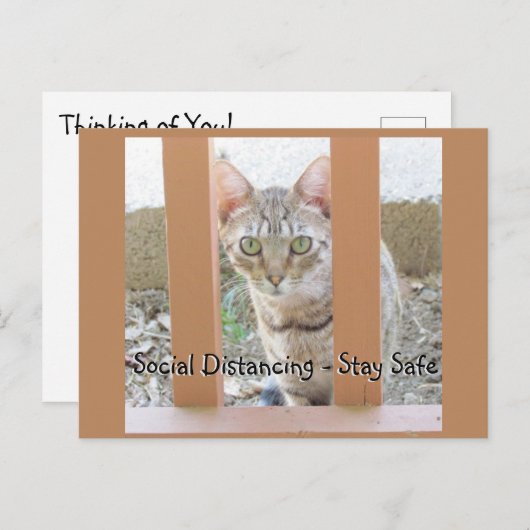 Carte postale - Distances sociales Chat rayé (Devant / Derrière)