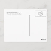 Carte Postale Distributeur de neige (Dos)